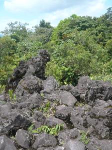 Adelante piedras de lava y atras la bosque / Vorne die Lavafelsen und hinten der Wald