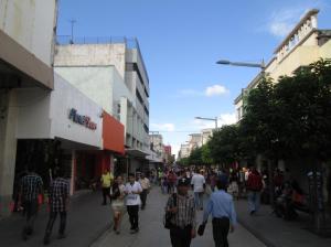 La zona peatonal lleno de gente / Die Fußgängerzone voll mit Leuten