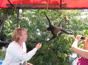 Regalando una banana a un mono / Beim Schenken einer Banane an einem Affen