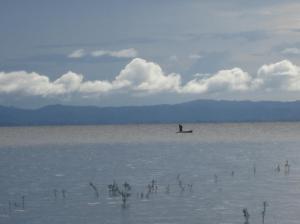 Un pescador en el lago / Ein Fischer auf dem See