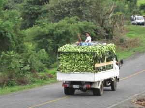 Un camion lleno de platanos / Ein LKW voll mit Kochbananen