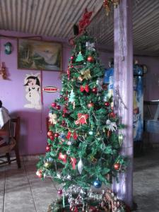 Un arbol navideno / Ein Weihnachtsbaum