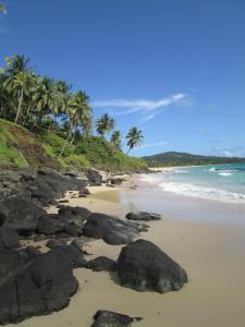 Playa con rocas y palmeras / Strand mit Steinen und Palmen