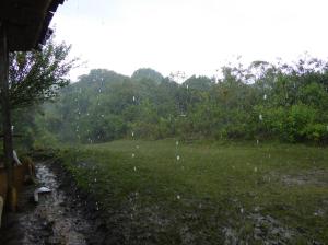 El Purutal - Lluvia fuerte de media hora / Starker Regen für 30 Minuten